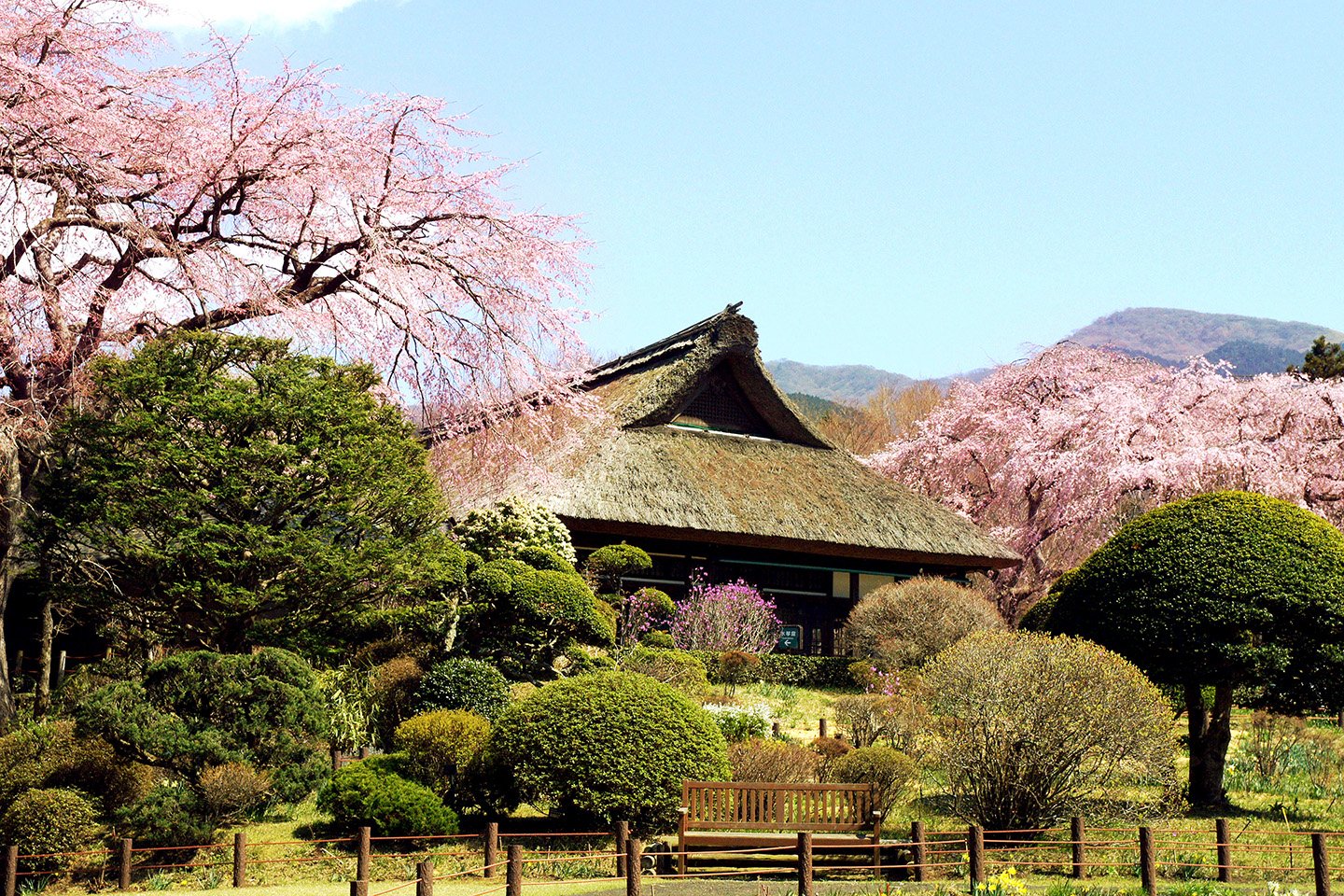 🏞️ 지치부노미야 기념 공원(지치부노미야키넨코엔)